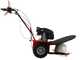 Blue Bird Alhambra TS PRO H0 - Motor mowers with rotary blades - Honda GCV 200