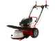 Blue Bird Alhambra TS PRO H0 - Motor mowers with rotary blades - Honda GCV 200
