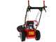 Blue Bird Alhambra TS PRO H0 - Motor mowers with rotary blades - Honda GCV 200