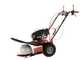 Blue Bird Alhambra TS PRO H0 - Motor mowers with rotary blades - Honda GCV 200