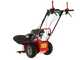 Blue Bird Alhambra TS PRO H0 - Motor mowers with rotary blades - Honda GCV 200