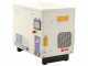 Fiac NEW SILVER 10 - Rotary-screw Air Compressor - 10 bar Max Pressure