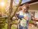 NanoBlade BOSCH EASY CUT 12 Battery-powered Pruning Saw