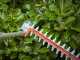 BLACK+DECKER BEHTS551 Hedge Trimmer - 650 W with 60 cm steel blade