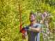 BLACK+DECKER BEHTS551 Hedge Trimmer - 650 W with 60 cm steel blade