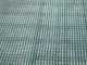 No. 1 Thorn resistant olive catching net with split - 10x10 m - 95g/m2