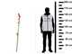 GeoTech  SV-375 -  Pruner on lopping pole 3.75 m
