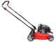 Ama TRX 421 self-propelled lawn mower - 3 in 1: grass collection mowing  + rear discharge + mulching