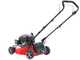 Ama TRX 421 self-propelled lawn mower - 3 in 1: grass collection mowing  + rear discharge + mulching