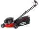 Ama TRX 421 self-propelled lawn mower - 3 in 1: grass collection mowing  + rear discharge + mulching