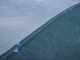 Anti-thorn sheet roll Anti-tear net for olive harvesting 7 x 50 m (mesh nets) 95 g/sqm