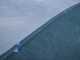 Anti-thorn sheet roll Anti-tear net for olive harvesting 8 x 50 metres (mesh nets) 95 g/sqm