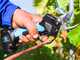SPEEDY Campagnola Electric Pruning Shears - 2 x 2Ah batteries - 25mm Cutting diameter