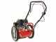 Blue Bird FLO Speed 6HO - Self-propelled 4-stroke gasoline wheeled brush cutter - Honda GCVx170