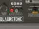 BlackStone BG 9050 - 6.6 kW Diesel Power Generator with AVR - DC 6 kW Full-power + ATS