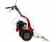 Eurosystems M90 - Single-blade mower - B&amp;S 450 E