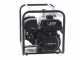 Rato RT80ZB21 3.6 Petrol Water Pump