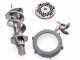 Palumbo Pavi L22 Meat Mincer Stainless Steel Body with 1 Hp Electric Motor