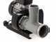 Palumbo Pavi L22 Meat Mincer Stainless Steel Body with 1 Hp Electric Motor