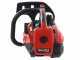 Blue Bird CSP 280TC - Petrol Cutting Chainsaw - 25 cm Carving Blade