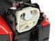 Blue Bird CSP 280TC - Petrol Cutting Chainsaw - 25 cm Carving Blade