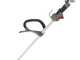 Castelgarden BC 435 H - 4-stroke gasoline brush cutter - Honda GX35 engine
