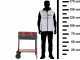 Seven Italy Flavia c/r 55 - Handmade charcoal barbecue - 55,5x29,5 cm