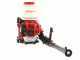 Wortex FS 20-T2-EU-V - Backpack Sprayer/Mist Blower
