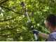 Alpina AMT 20 Li Multi-tool Battery-powered Pruner on Telescopic Pole - 20 V 4Ah Battery