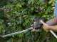 Alpina AMT 20 Li Multi-tool Battery-powered Pruner on Telescopic Pole - 20 V 4Ah Battery