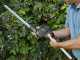 Alpina AMT 20 Li Multi-tool Battery-powered Pruner on Telescopic Pole - 20 V 4Ah Battery
