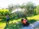 Stocker Art. 303 - Electric Sprayer Pump on Trolley with Spraying Bar - 80L - 12V