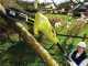 Ryobi RP750450 Extension Rod Hedge Trimmer - 750W/450W Motor