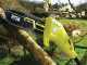 Ryobi RPP750S electric pruner on adjustable extension pole - 20 cm Oregon bar