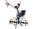 AGT 9000 - 9 HP Petrol Garden Tiller - Honda GX270 270 cc Engine - 2+1 Reverse Gear Gearbox