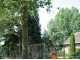 Heavy-duty Silky Hayauchi 2400 Pruning Saw on aluminium telescopic pole