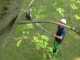 Heavy-duty Silky Hayauchi 2400 Pruning Saw on aluminium telescopic pole