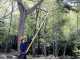 Heavy-duty Silky Hayate 6100 Pruning Saw on aluminium telescopic pole