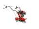 Einhell GC-MT 2560 LD - 5 HP Petrol Garden Tiller - 150 cc Engine