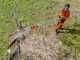 KIT Bahco ASP3740-C39JTC Pruning Saw on modular pole 3.74 m - 39 cm blade
