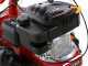 Eurosystems M210 - Twin blade mower - Loncin LC1P65FE