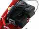 Eurosystems M210 - Twin blade mower - Loncin LC1P65FE