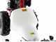 Eurosystems M210 - Twin blade mower - Loncin LC1P65FE