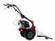 Eurosystems M210 - Twin blade mower - Loncin LC1P65FE
