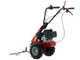 Eurosystem Minieffe - Multifunctional motor mower - Loncin L200 OHV