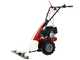 Eurosystem Minieffe - Multifunctional motor mower - Loncin L200 OHV