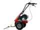 Eurosystem Minieffe - Multifunctional motor mower - Loncin L200 OHV