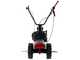 Eurosystem Minieffe - Multifunctional motor mower - Loncin L200 OHV