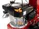 Eurosystems RS90 - Multifunctional rotary mower - Loncin 139 OHV
