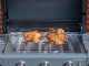 Culinary Modular Electric Premium Spit Roaster